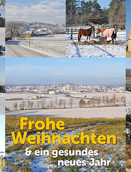 Frohe Weihnachten 2020